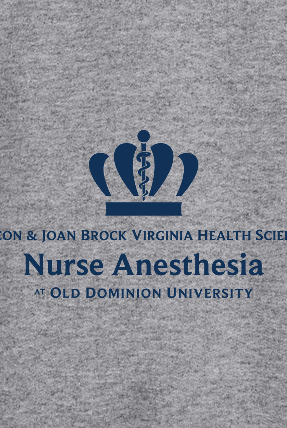 Old Dominion University, Full Logo, Nurse Anesthesia, Youth Heavy Blend™ Crewneck Sweatshirt - Gray